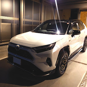 RAV4 AXAP54