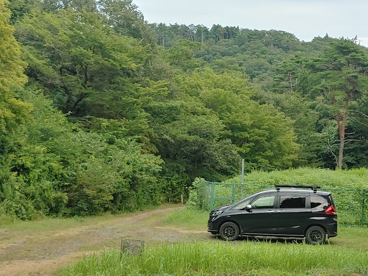 フリード+のキャリア沼・INT509BK・大満足&自己満足🤣に関するカスタム事例の投稿画像10枚目