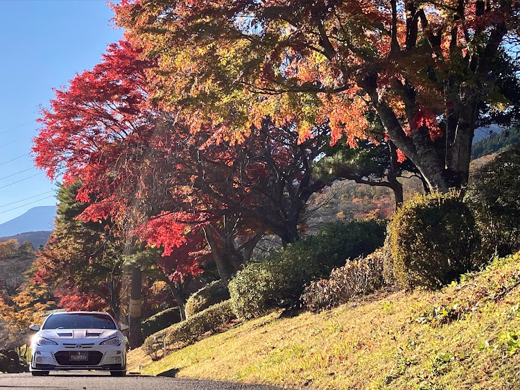 の投稿画像19枚目