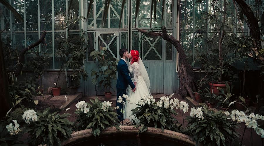 Wedding photographer Aleksandr Kliomfas (alexmaslov). Photo of 29 March 2018