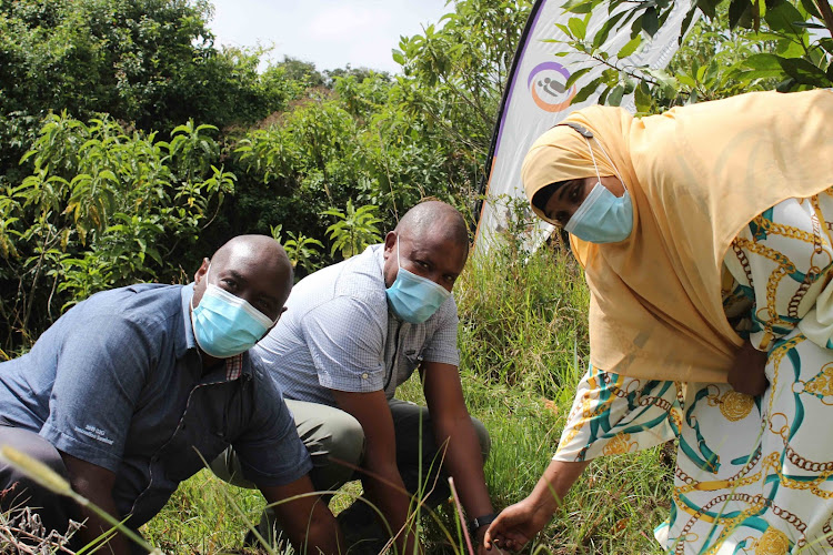 KenGen employees participating in tree planting under the company’s Green Initiative Challenge (GIC) initiative.