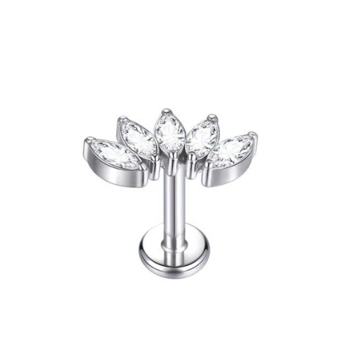 Crown oorknopjes van puur titanium met interne schroefdraad, kettinghanger, labret piercing en klaverblad oorbel.