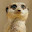 Meerkat Wallpapers and New Tab