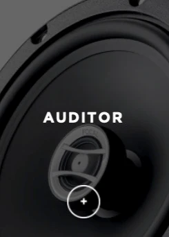 Focal Auditor