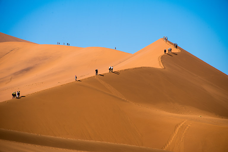 TO THE TOP di Irene Vallerotonda