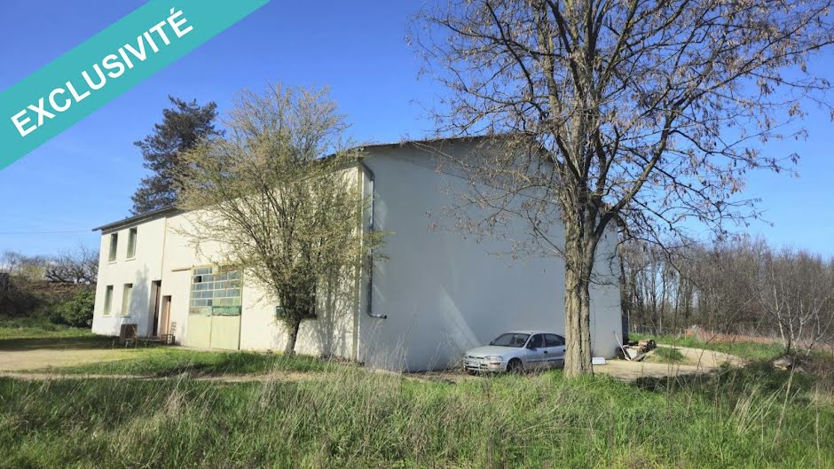 Vente maison  420 m² à Saint-Didier-de-Formans (01600), 550 000 €