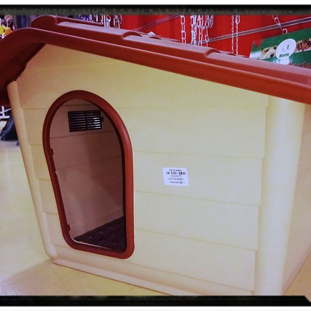 dog house plans