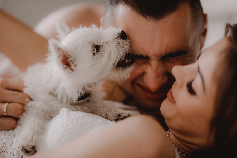 Fotógrafo de casamento Karolina Cisowska (karolinacisowska). Foto de 9 de janeiro 2019