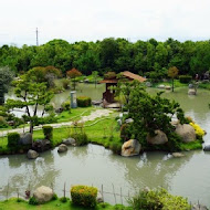 澄霖沉香味道森林館