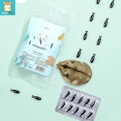 Cá Con Yee Bảo Vệ Sức Khỏe Cho Hamster, Guinea Pig (Bọ Ú, Chuột Lang),Thỏ, Sóc, Chinchilla