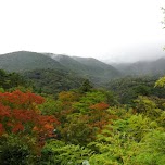 view from the rooftop at Gaku Guesthouse in Gora, Hakone in Hakone, Japan 