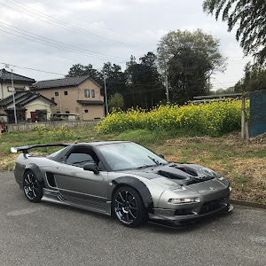 NSX