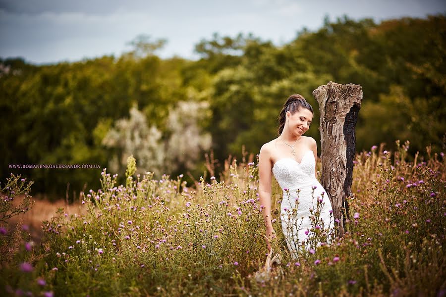 結婚式の写真家Aleksandr Romanenko (trux)。2013 10月10日の写真