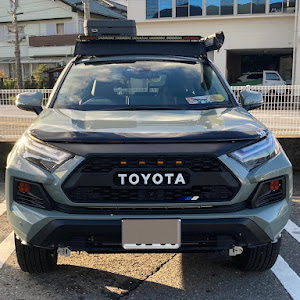 RAV4 AXAH54