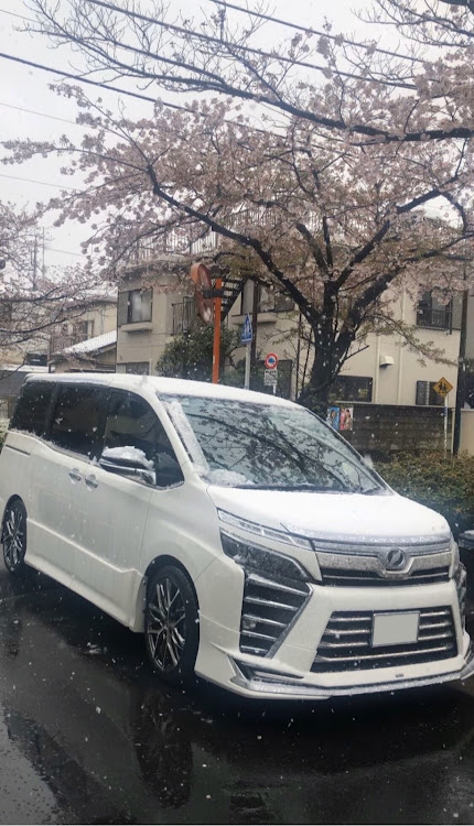 ヴォクシーの桜と愛車・雪と愛車に関するカスタム事例の投稿画像1枚目