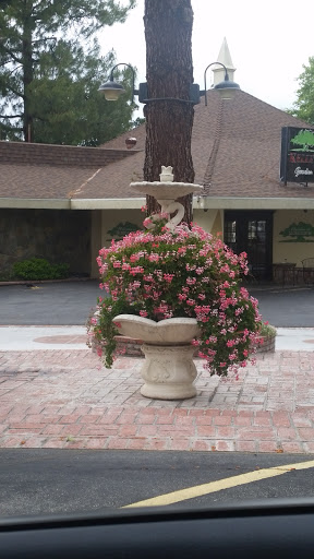 Swan Fountain 