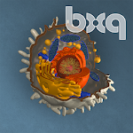 bodyxq cell library Apk