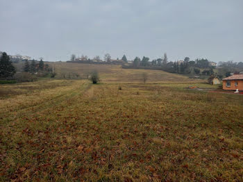 terrain à Rabastens (81)