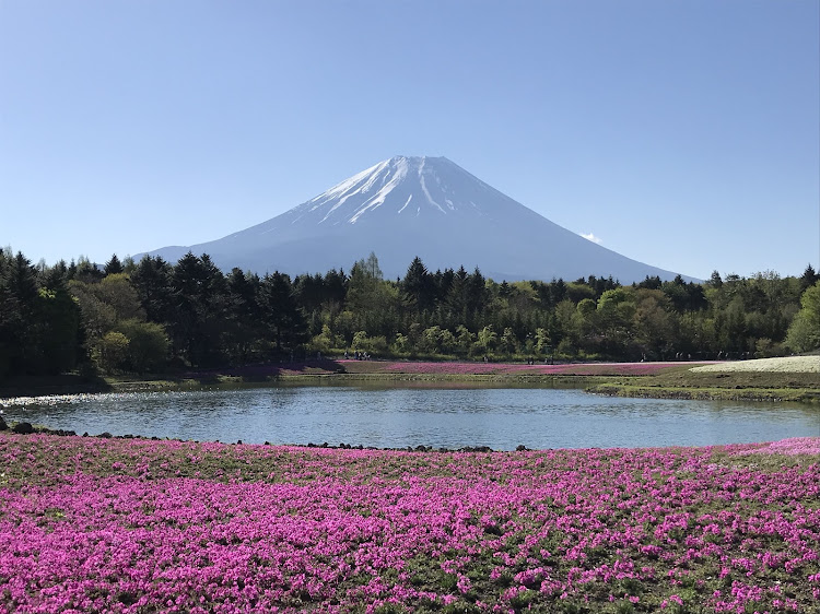 の投稿画像6枚目