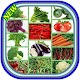 Download cultivation of vegetables For PC Windows and Mac 1.0