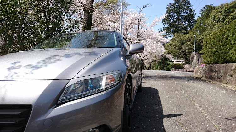 CR-Zの桜と愛車・桜・桜とコラボ・花見・目指せPickUpCarsに関するカスタム事例の投稿画像4枚目