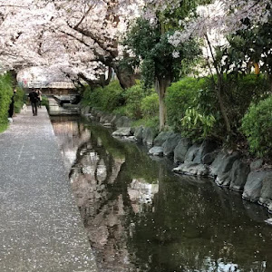 デイズハイウェイスター