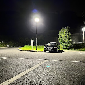 マークX GRX130