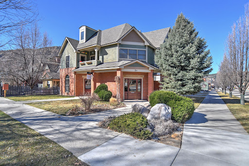 House purchase in Durango (United States) - Green brick house facade, large fir tree