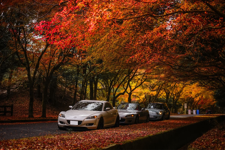 RX-8の2024ベストショット11月に関するカスタム事例の投稿画像6枚目