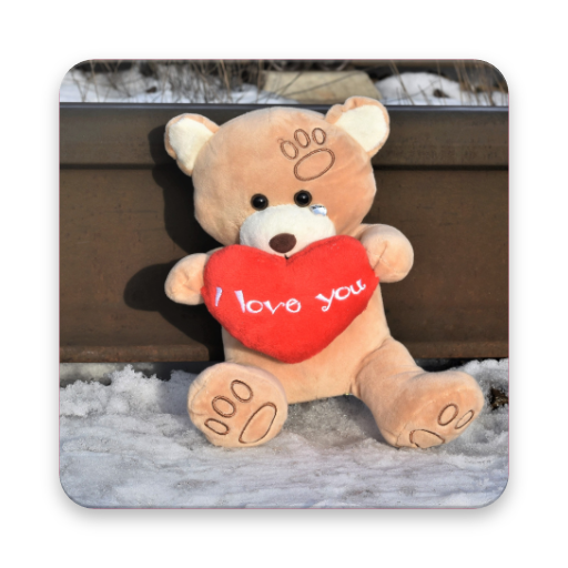 Cute Teddy Bear Images