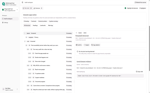 WCAG Audit Tool screenshot 4