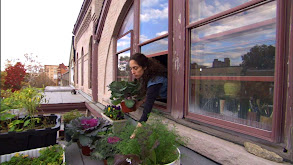 Urban Gardening thumbnail