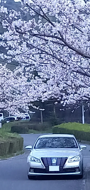 クラウンロイヤルのJun Style・クルマ好きと繋がりたい・桜とコラボに関するカスタム事例の投稿画像4枚目