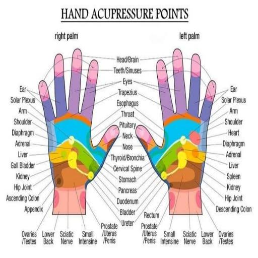 Acupressure Points in Hindi