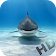 Sharks Video Live Wallpaper icon