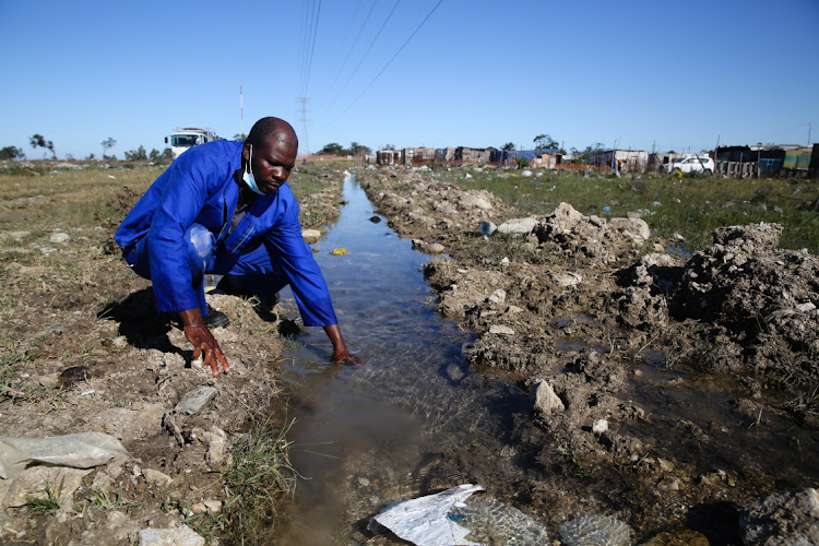 Plumber Tonderai Nyangombe, from Alex Maintenance, examines the furrow diverting the flow from the bulk water pipe leak in the veld just below Kuyga