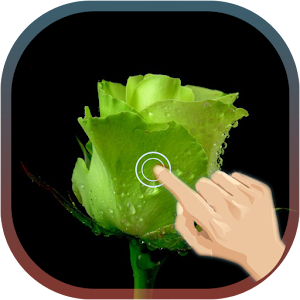 Love Rose Wave live wallpaper.apk 1.1