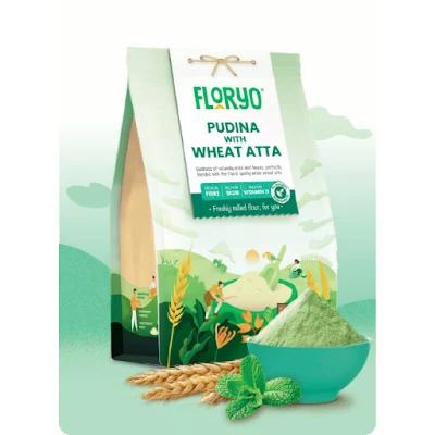 Floryo Pudina With Wheat Atta 350 Gm