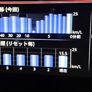 アクセラスポーツ BMEFS