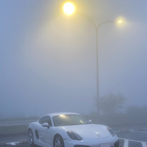 ケイマン 981MA123