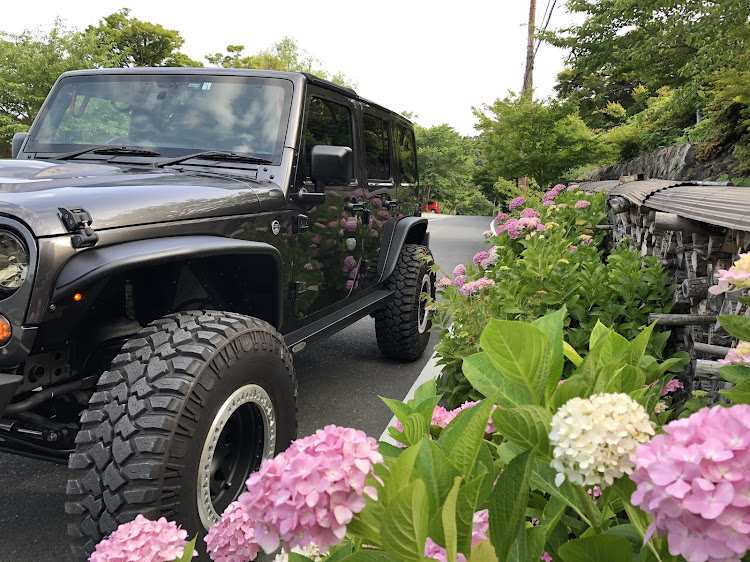 ラングラーアンリミテッドのJEEP・JKラングラー・紫陽花とゴリラ🦍・リフレクション・jeep wranglerに関するカスタム事例の投稿画像3枚目