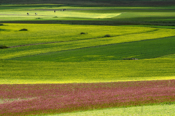 Una tavolozza di colori di Fiore Doncovio