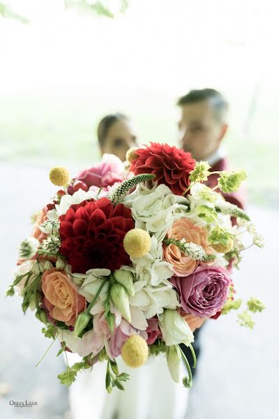 Photographe de mariage Lajos Orban (lajosorban). Photo du 25 juillet 2017