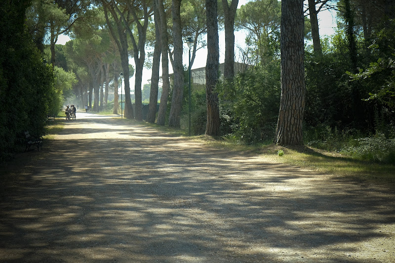 Una Domenica mattina alle Cascine di Tavola di Andri55