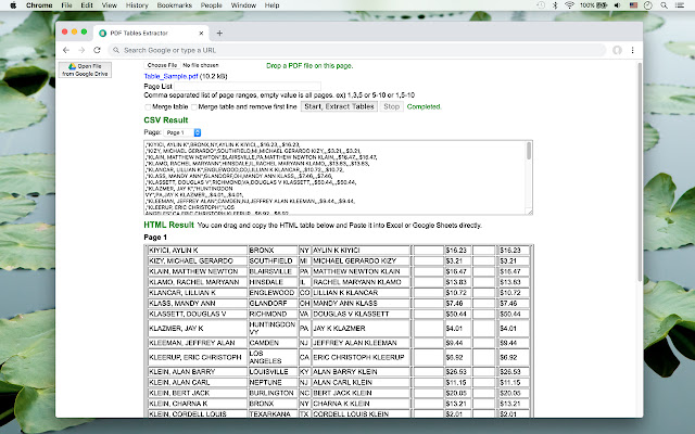 PDF Tables Extractor chrome extension