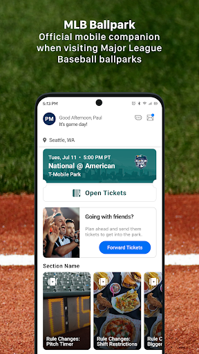 Screenshot MLB Ballpark