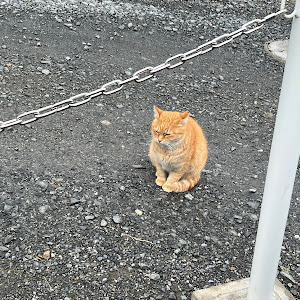 ルークス ハイウェイスター ターボ