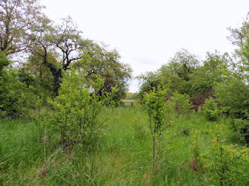 terrain à Bagneaux (89)