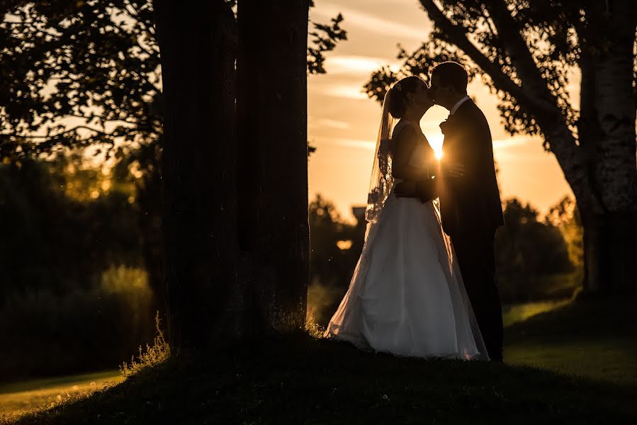 Fotógrafo de casamento Molnár Tamás (molnartamas). Foto de 1 de março 2016