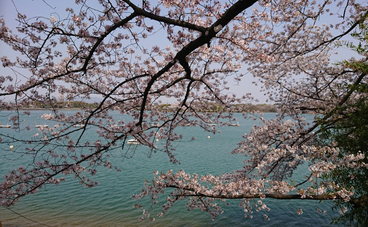 の投稿画像22枚目